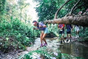 BIB: 
                            <button type="button" onclick="openModal(25439227)" class="btn btn-primary btn-sm float-right btn-popup" data-toggle="modal" data-target=".modal-high-quality">
                        <i class="fas fa-shopping-cart"></i> Add to Cart
                    </button>
                                            <button type="button" onclick="isThisMe(25439227, true)" class="btn btn-success btn-sm float-right btn-popup btn-isme hidden" data-toggle="tooltip" data-placement="bottom" title="นี่คือรูปของคุณใช่ไหม คลิกที่นี่เพื่อเอาเข้าอัลบั้ม">
                        <i class="fas fa-plus"></i> Add to album
                    </button>
                    <button type="button" onclick="isThisMe(25439227, false)" class="btn btn-warning btn-sm float-right btn-popup btn-isnotme hidden">
                        <i class="fas fa-ban"></i> Remove from album
                    </button>